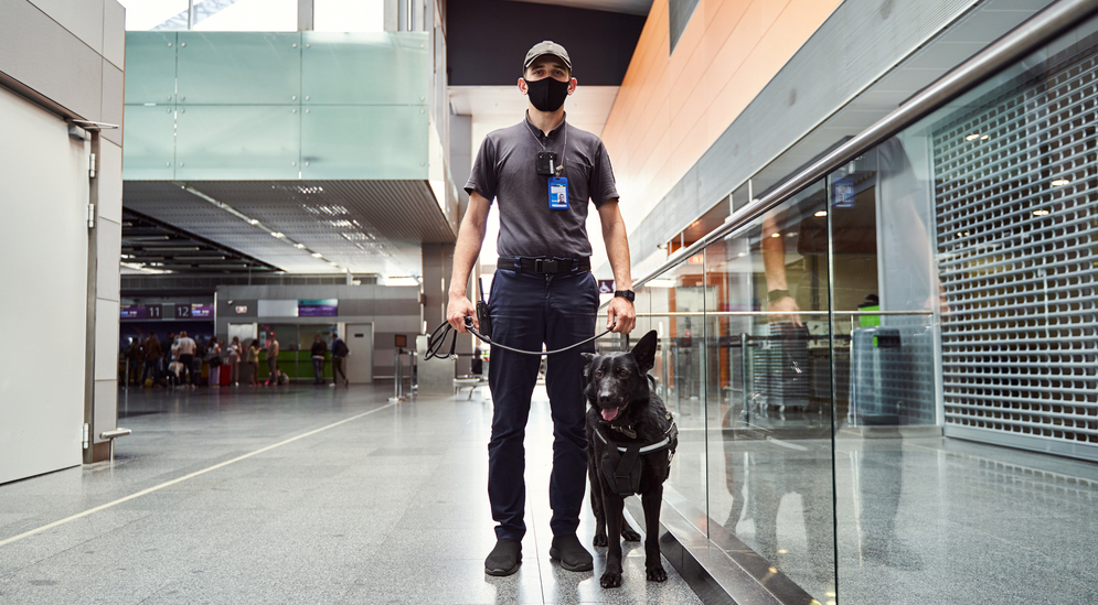 Agent de sécurité avec son chien